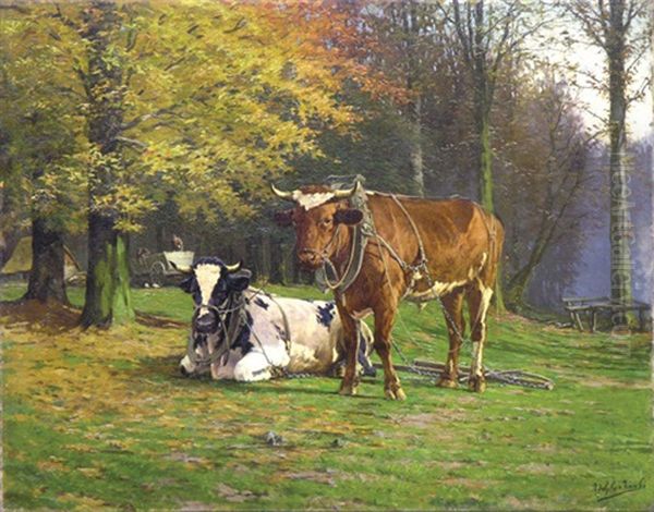 Cows At Rest - view 1