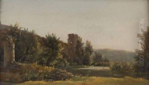 Etangs Sur Fond De Ruines