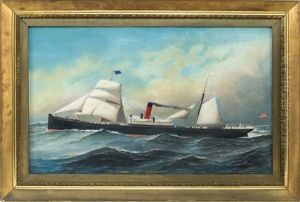 The S.s. Mineola At Sea