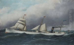 Screw Steamship Willkommen by Antonio Nicolo Gasparo Jacobsen