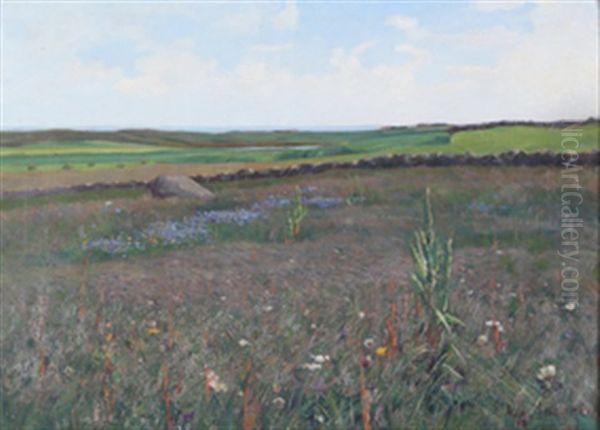 Landskap - view 1