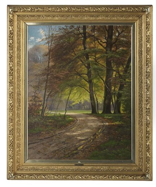 Autumn Woods - view 1