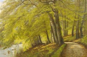 Waldweg Am Bachlauf Waldweg Am Bachlauf