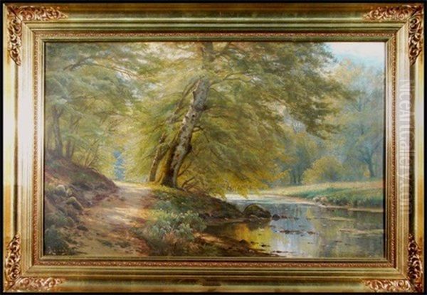 Forest Glade With Stream - view 1