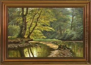Spring Forest Spring Forest