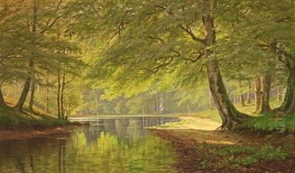 Stream In The Woods A Sunny Summer's Day In 1895 - view 1