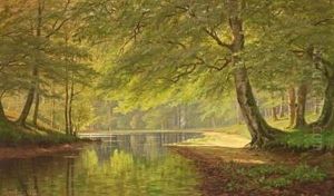 Stream In The Woods A Sunny Summer's Day In 1895