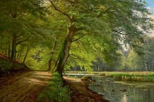 A Spring Day In The Woods