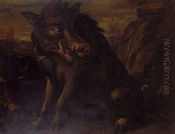Wild Boars In Extensive Marshland Landscape - view 1