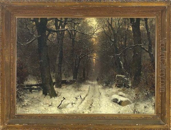 View Of A Snow Covered Path In A Forest At Sunset - view 1