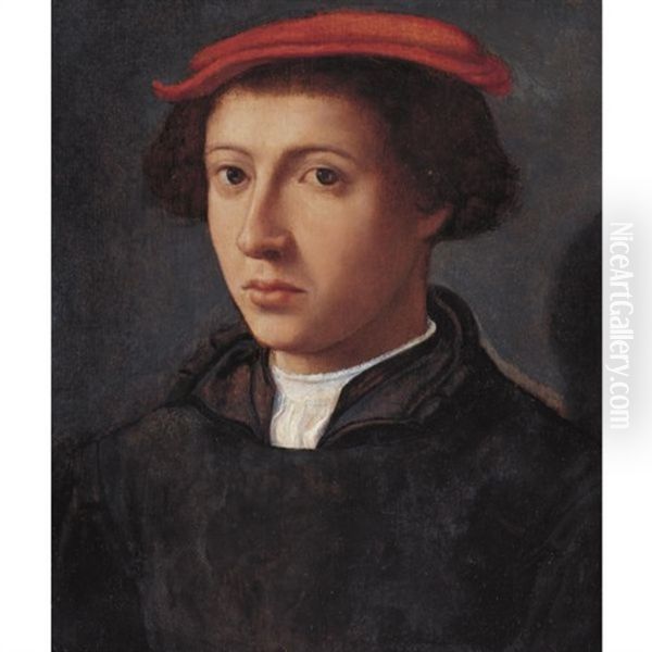 Portrait Of A Young Man, Bust Length Turned Slightly To The Left, Wearing A Red Cap - view 1