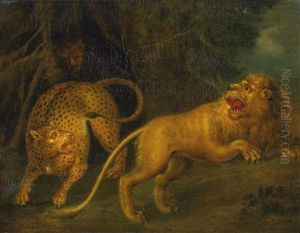 Lowe Und Leopard