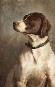 English Pointer