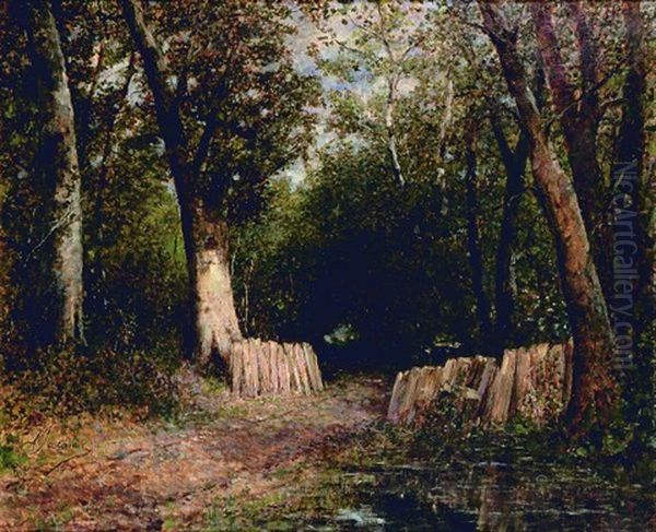 Sous-bois - view 1