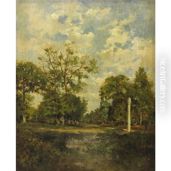 A Forest Clearing - view 1