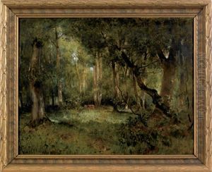 Untitled (wooded Landscape) by Marie Ferdinand Jacomin