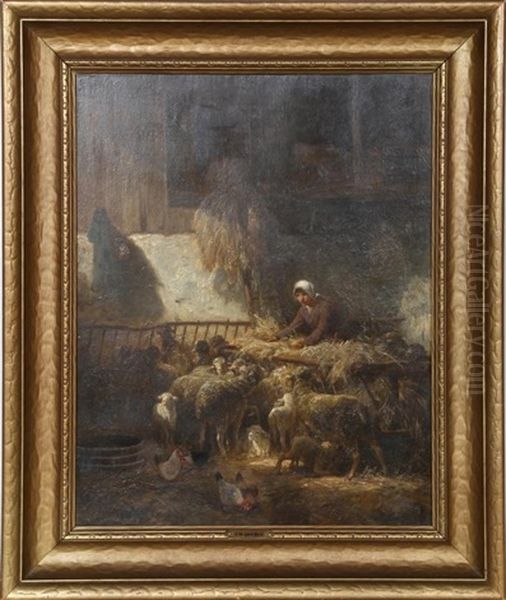 Feeding Sheep - view 1