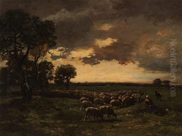 Herd Of Sheep - view 1