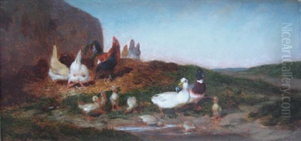 Poules Et Canards - view 1