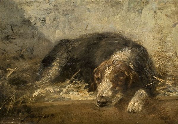 Schlafender Hund - view 1