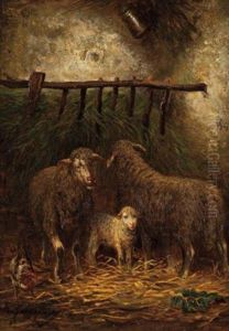 Sheep In A Manger