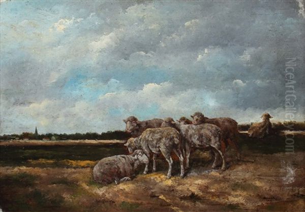 Schafe Auf Der Weide - view 1