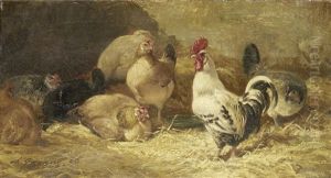 Chickens In A Barn Chickens In A Barn