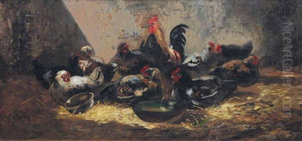 In The Chicken House - view 1