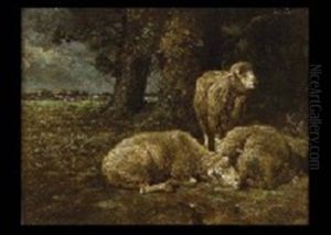 Sheep At Rest thumbnail