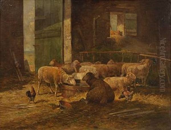 Sheep In A Barn Interior - view 1