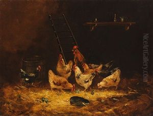 Poultry
