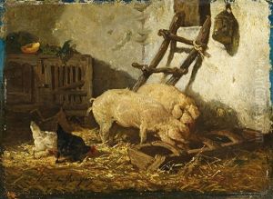 Schweine Am Futtertrog