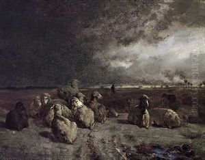 Ruhende Schafherde In Abendlicher Weidelandschaft Mit Abziehendem Gewitter