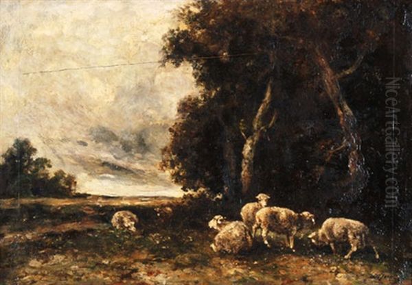 Landschaft Mit Schafen - view 1