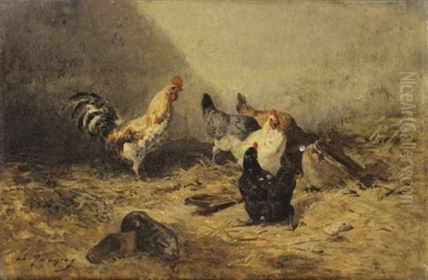 Coq Et Poules - view 1