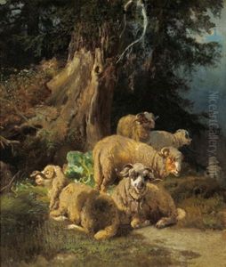 Der Schutzende Baum Der Schutzende Baum