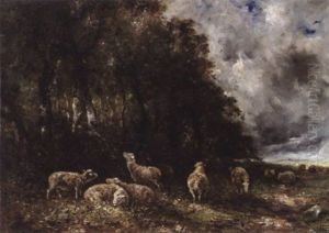 Schafherde Am Waldrand