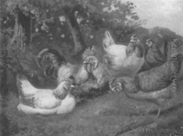 A Landscape With Chickens - view 1