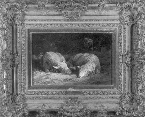 Two Sheep - view 1