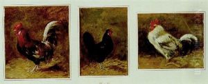 Coq by Charles Emile Jacque