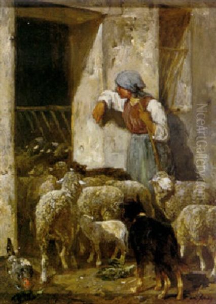 Returning The Flock - view 1