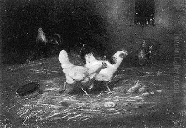 Coqs Et Poules - view 1