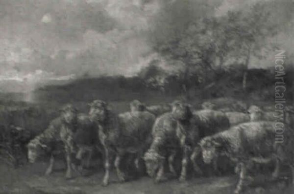 Moutons - view 1