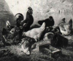 Huhner by Charles Emile Jacque