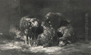 F_nf Schafe, Dicht Aneinander Gedr,ngt