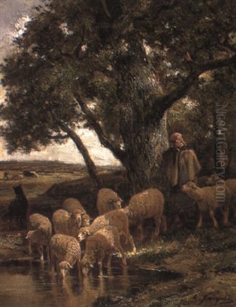 Sheep In A Woodland Pool - view 1