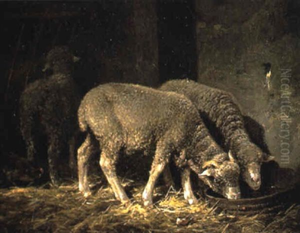 Moutons A La Bergerie - view 1