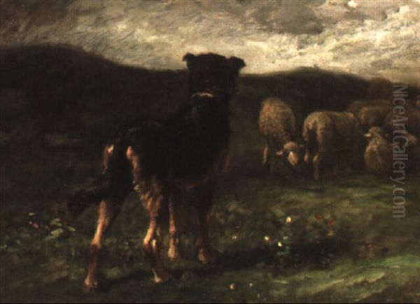 A Sheepdog With Sheep - view 1