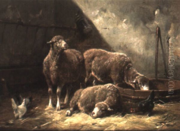 Sheep In The Barn - view 1