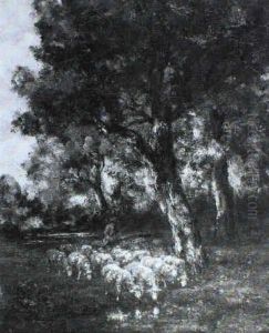 Schafer Mit Seiner Herde Unter Alten Eichen Im Wald Schafer Mit Seiner Herde Unter Alten Eichen Im Wald